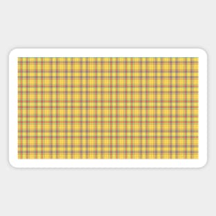 Hope Colorful Plaids 001#017 Magnet